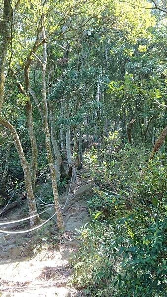 玩登小百岳--No:33仙山 (攀岩拉繩  視野遼闊) 在 