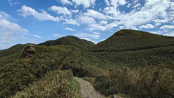 七星山東峰 主峰 (穿梭闊葉森林 大縱走 奇岩巨石)  在 