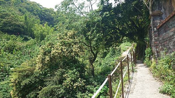 猴崁古道(草山瀑布 吊橋 百年楓香 滾水頭) 青春嶺 大屯瀑