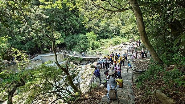 猴崁古道(草山瀑布 吊橋 百年楓香 滾水頭) 青春嶺 大屯瀑