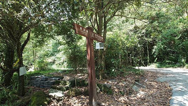 猴崁古道(草山瀑布 吊橋 百年楓香 滾水頭) 青春嶺 大屯瀑