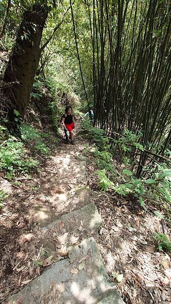 猴崁古道(草山瀑布 吊橋 百年楓香 滾水頭) 青春嶺 大屯瀑