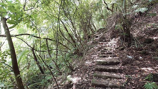 猴崁古道(草山瀑布 吊橋 百年楓香 滾水頭) 青春嶺 大屯瀑