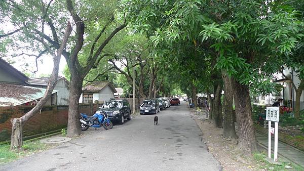 光復新村(老眷村變身文化市集) 國立台灣交響樂團 在 台中霧