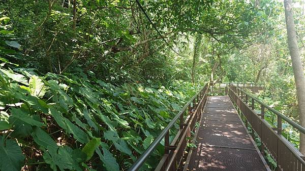 尋寶步道(無障礙步道)  寶藏巖國際藝術村  在 台北公館