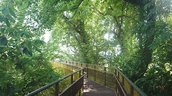 尋寶步道(無障礙步道) 寶藏巖國際藝術村 在 台北公館