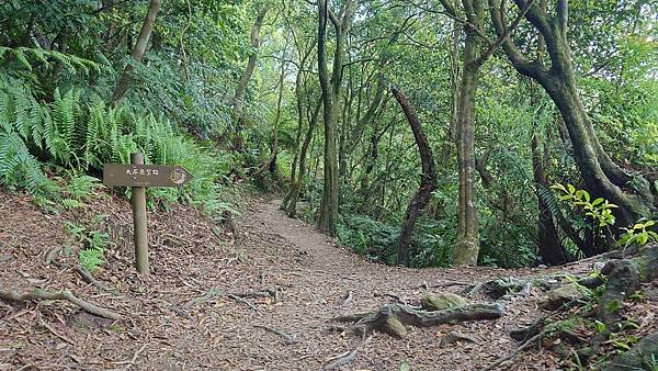 台北大縱走第四段(風櫃口--大湖公園捷運)  在  陽明山