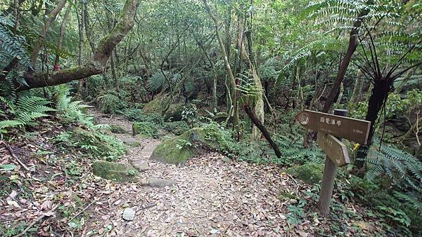 台北大縱走第四段(風櫃口--大湖公園捷運)  在  陽明山