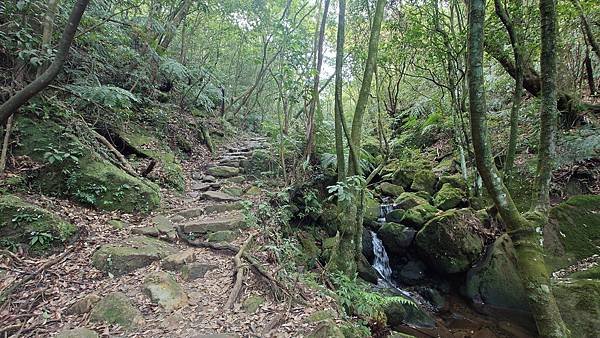 台北大縱走第四段(風櫃口--大湖公園捷運)  在  陽明山