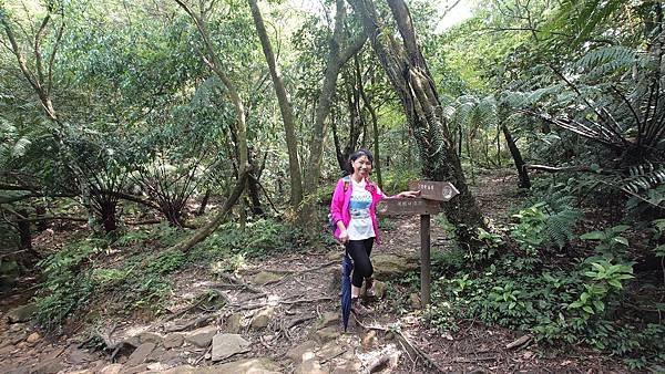 台北大縱走第四段(風櫃口--大湖公園捷運)  在  陽明山