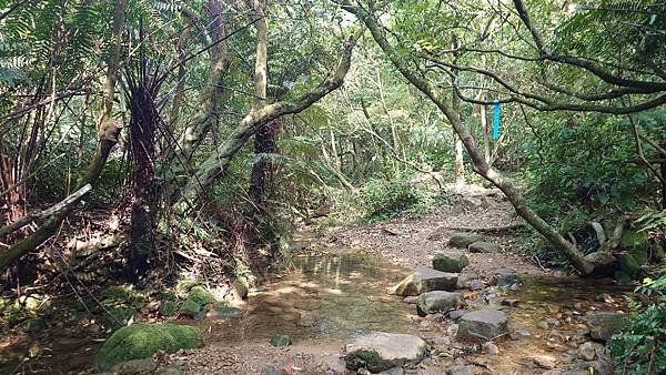台北大縱走第四段(風櫃口--大湖公園捷運)  在  陽明山