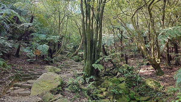 台北大縱走第四段(風櫃口--大湖公園捷運) 在 陽明山