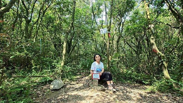 台北大縱走第四段(風櫃口--大湖公園捷運)  在  陽明山