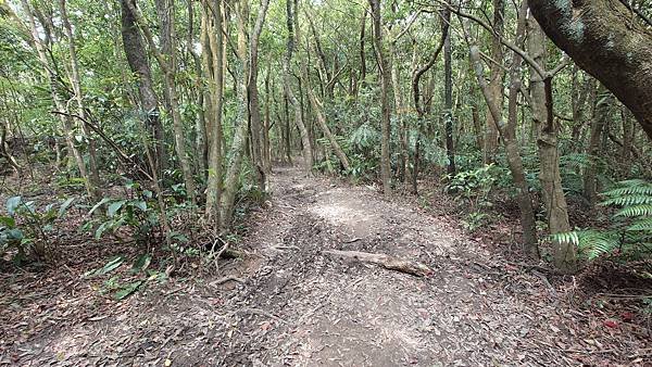 台北大縱走第四段(風櫃口--大湖公園捷運)  在  陽明山