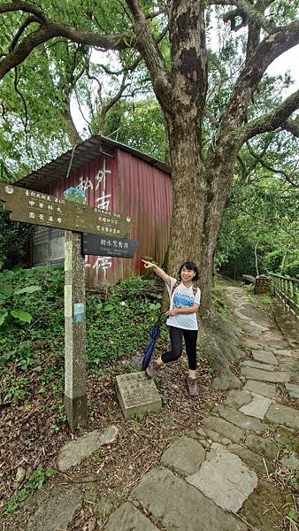 台北大縱走第四段(風櫃口--大湖公園捷運)  在  陽明山