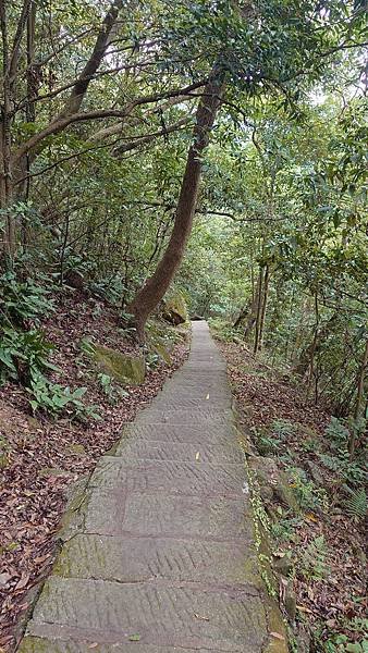 台北大縱走第四段(風櫃口--大湖公園捷運)  在  陽明山