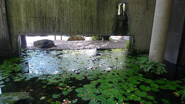 菩薩寺(台中大里)  簡單深刻的禪意時光