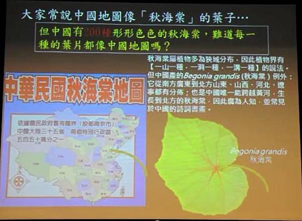 彭鏡毅：秋海棠與我