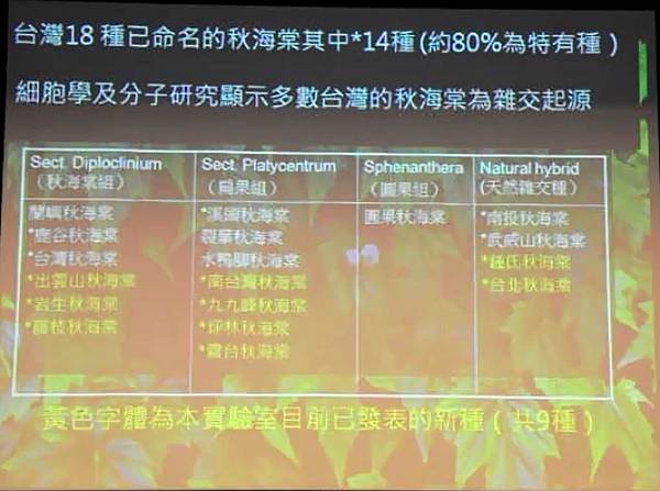 彭鏡毅：秋海棠與我