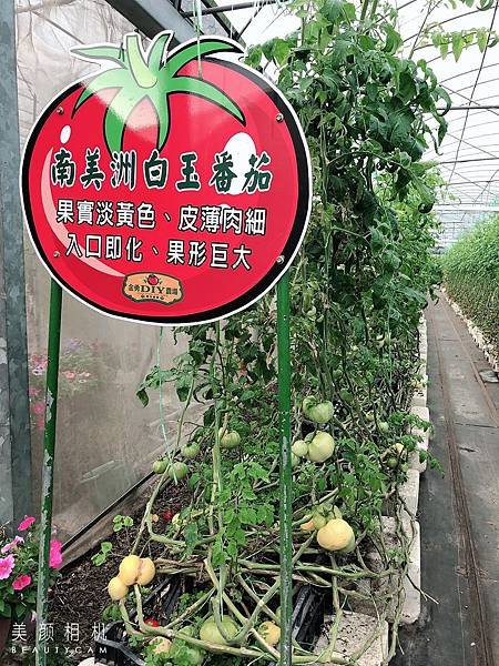 S__20701211.jpg