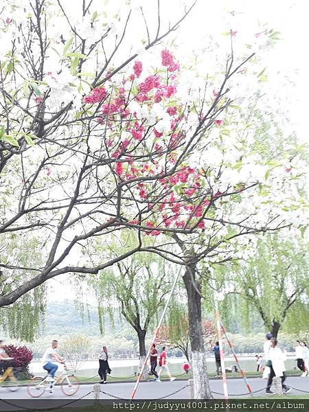 20180403_172419.jpg