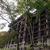 IMG_6397
