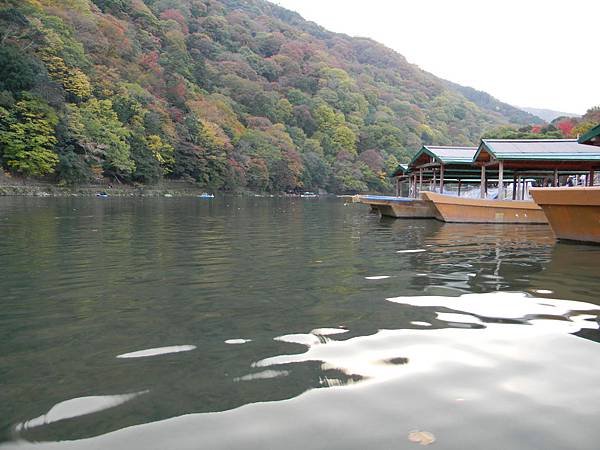 DSCN1966