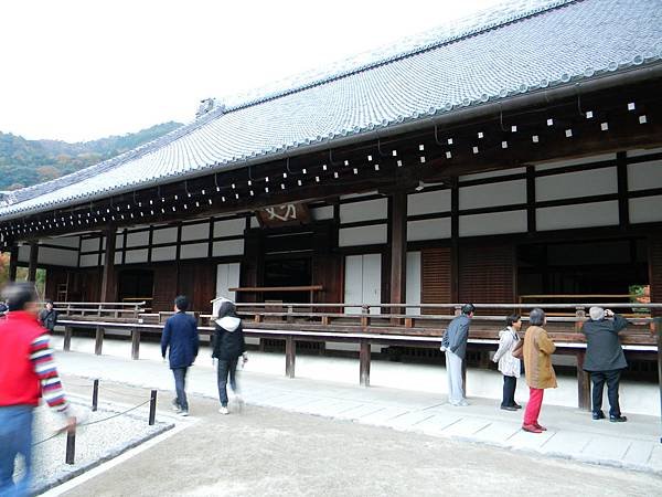 DSCN1974