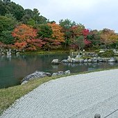 DSCN1981