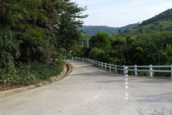 華欣/Hua Hin Hills Vineyard