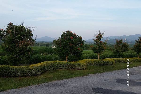 華欣/Hua Hin Hills Vineyard