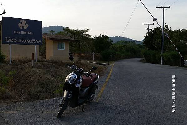 華欣/Hua Hin Hills Vineyard