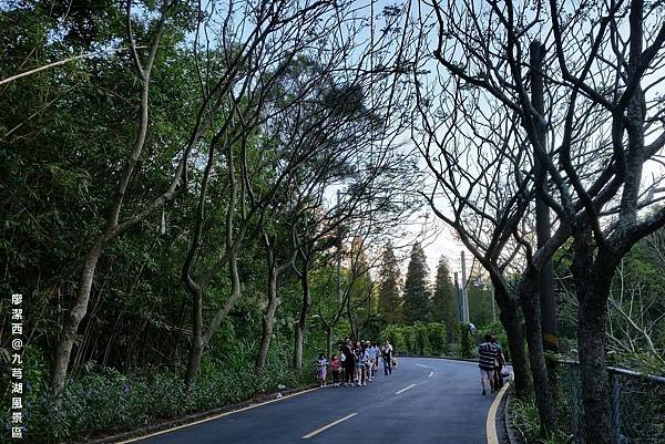 【新竹/新埔】九芎湖風景區