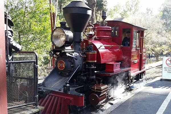 墨爾本/Puffing Billy