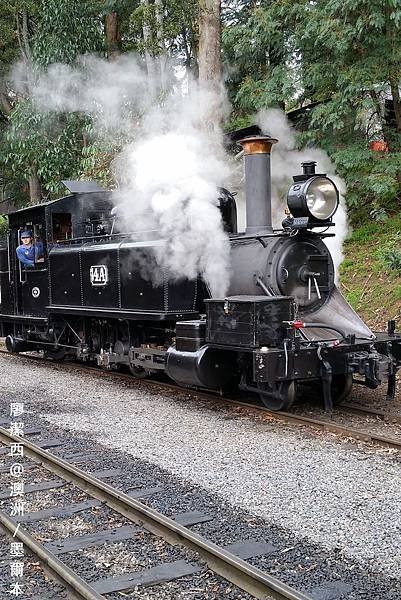 墨爾本/Puffing Billy