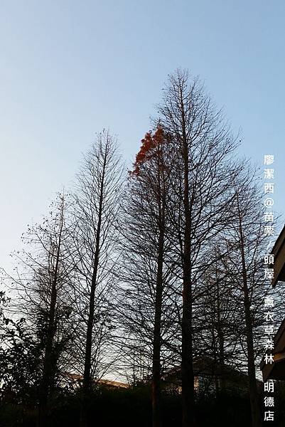 苗栗/薰衣草森林(明德店)