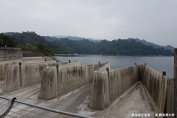 【苗栗/三義】鯉魚潭水庫