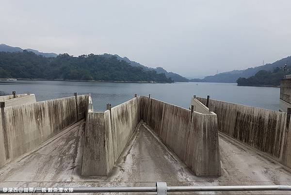 【苗栗/三義】鯉魚潭水庫