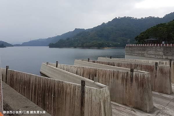 【苗栗/三義】鯉魚潭水庫