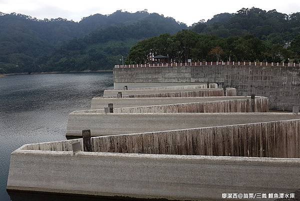 【苗栗/三義】鯉魚潭水庫