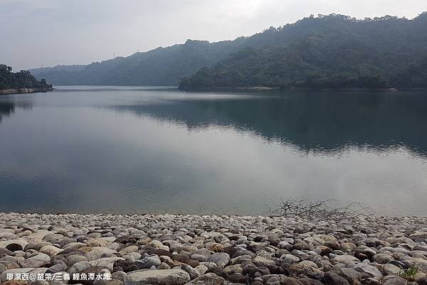 【苗栗/三義】鯉魚潭水庫