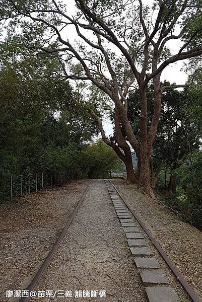 【苗栗/三義】龍騰斷橋