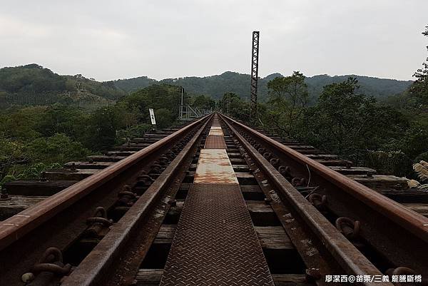 【苗栗/三義】龍騰斷橋