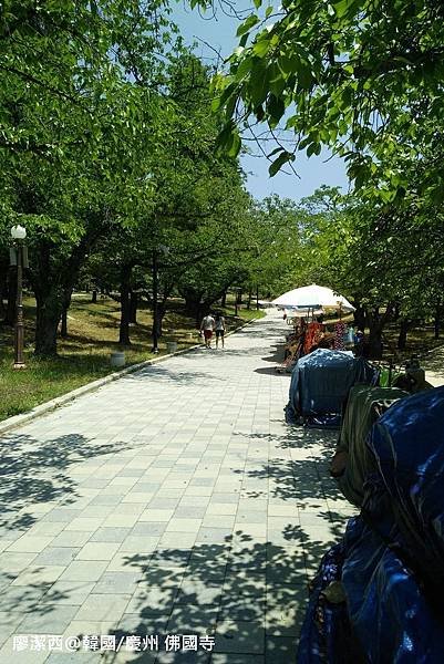 2017/07韓國/慶州 佛國寺