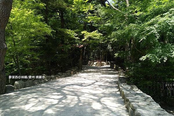 2017/07韓國/慶州 佛國寺