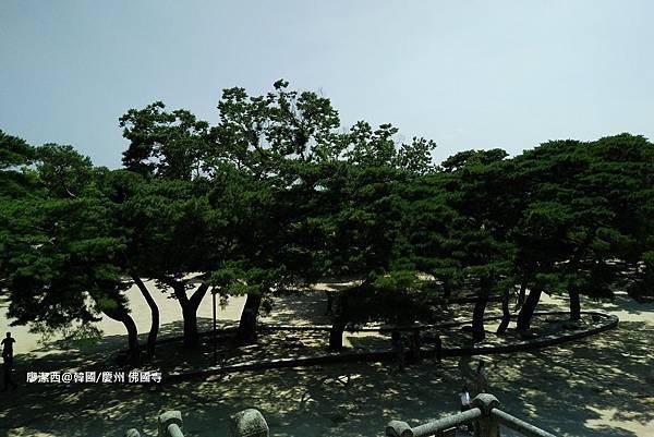 2017/07韓國/慶州 佛國寺