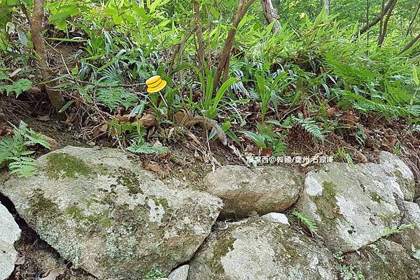 2017/07韓國/慶州 石窟庵