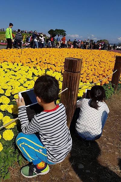 【台中/后里】2017臺中國際花毯節