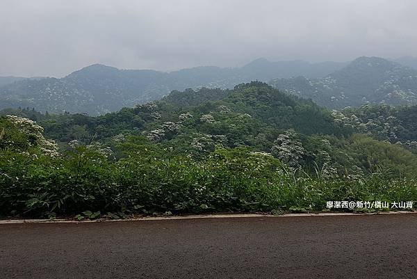 【新竹/橫山】大山北月