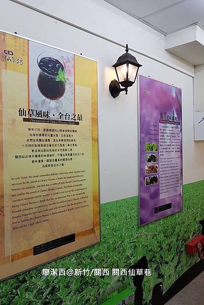 【新竹/關西】關西仙草巷